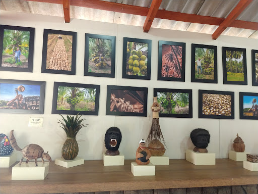 MUSEO del COCO
