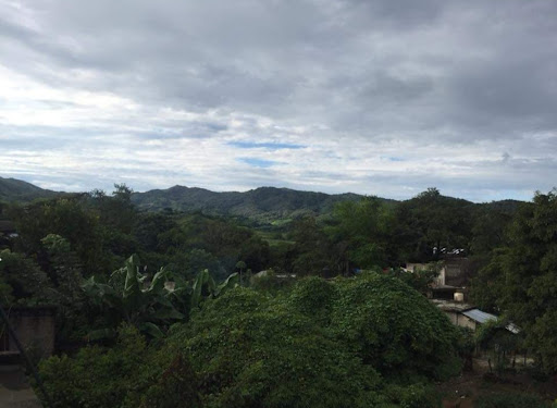El Limón