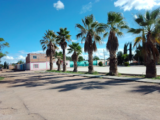 Noria del Borrego