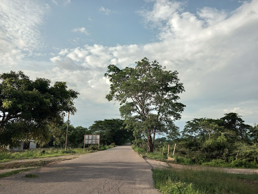 Parque Tigrilla