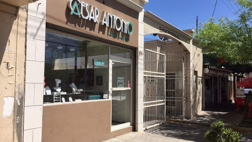 CESAR ANTONIO diseño