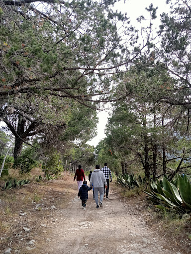 San Antonio de las Alazanas