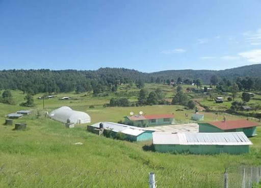 CCDI San Bernardino de Milpillas Chico - CDI Durango