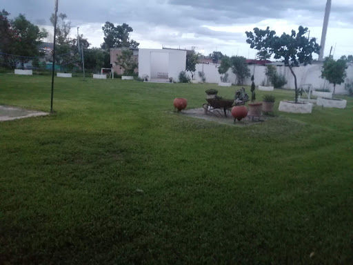 RIZOS DEL SAUCILLO II